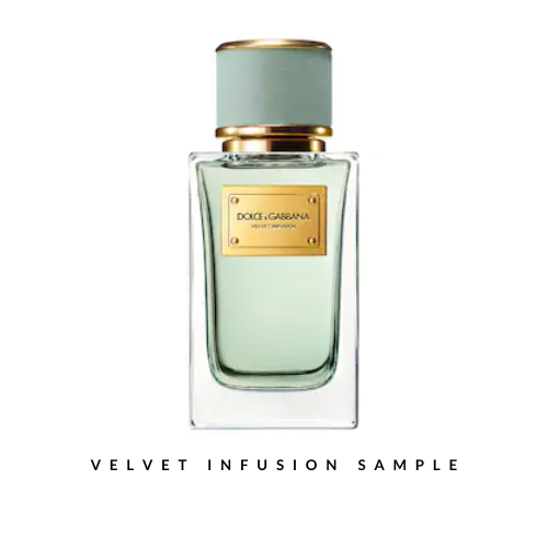 Dolce&Gabbana Velvet Infusion Sample